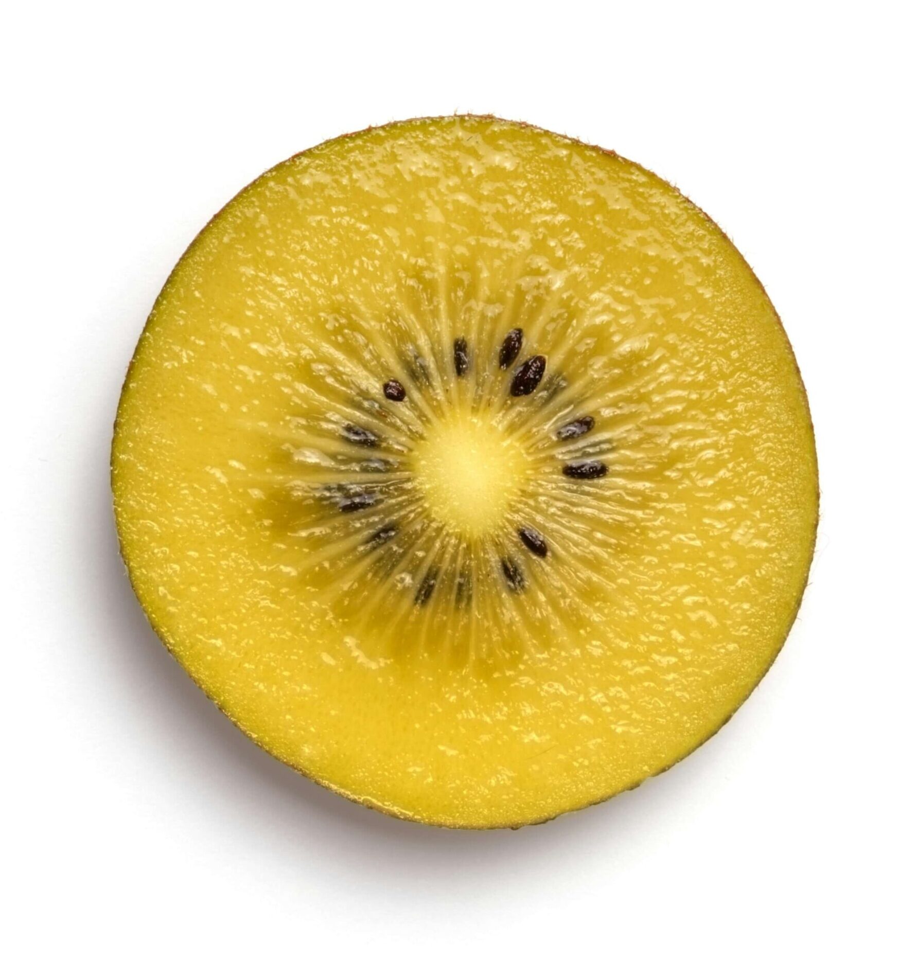 natasha leader kiwi
